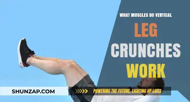 Vertical Leg Crunches: Targeted Muscles for Core Strength and Tone
