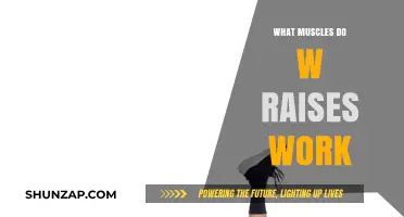 W Raises: Targeted Muscles and Benefits for Shoulder Strength