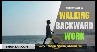 Walking Backwards: Unlocking Unique Muscle Benefits and Fitness Gains