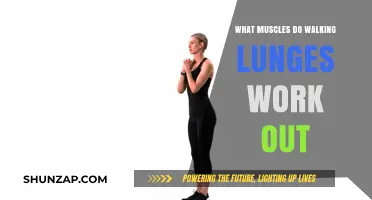 Walking Lunges: Targeted Muscles and Full-Body Benefits Explained