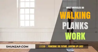 Walking Planks: Targeted Muscles and Full-Body Benefits Explained