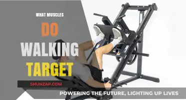 Walking: Targeting Lower Body Muscles for Fitness