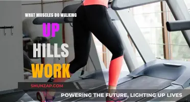 Hill Walking Muscles: Targeted Benefits for Strength and Endurance