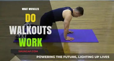 Walkouts Workout: Targeting Core, Shoulders, and Back Muscles Effectively