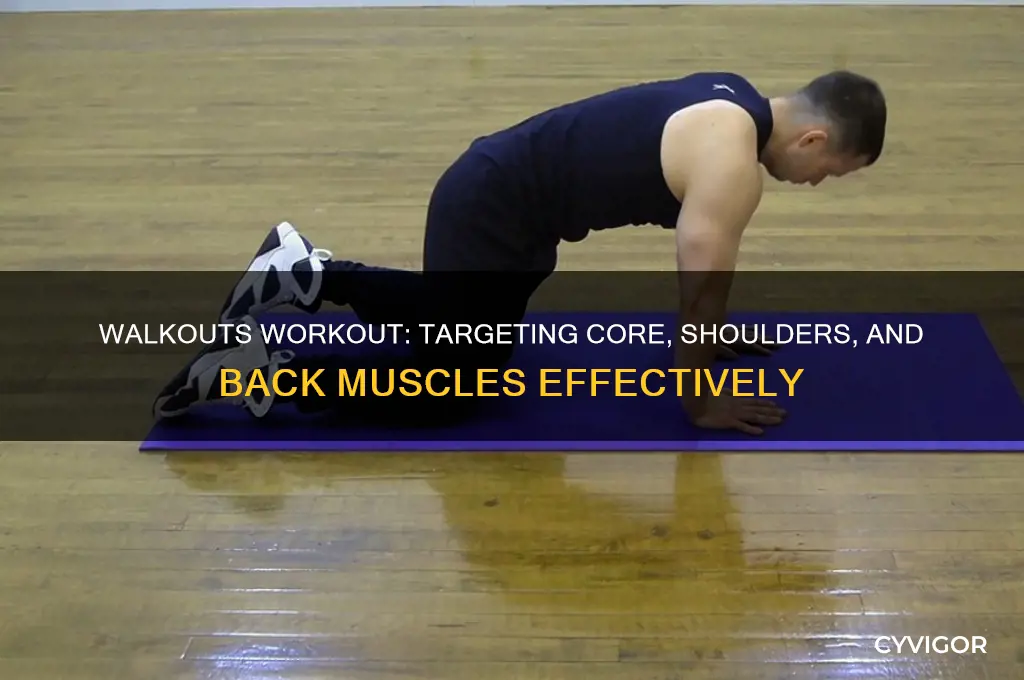 what muscles do walkouts work