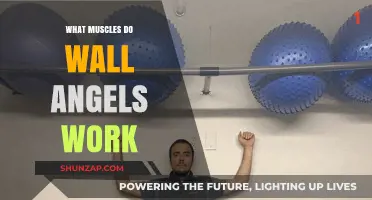 Wall Angels: Targeted Muscles and Benefits for Shoulder Strength