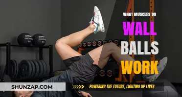 Wall Balls Workout: Target Muscles and Full-Body Benefits Explained