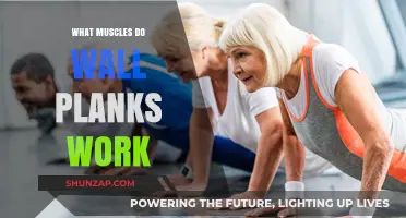 Wall Planks: Targeted Muscles and Core Strengthening Benefits Explained