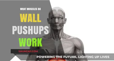 Wall Pushups: Targeted Muscles and Benefits for Upper Body Strength