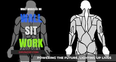 Wall Sit Muscles: Targeted Strength Training for Lower Body Power