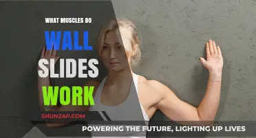 Wall Slides: Targeted Muscles for Posture and Core Strength