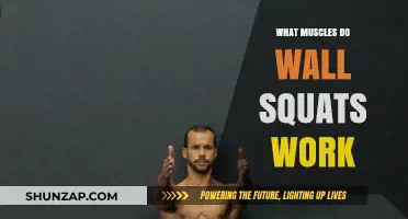 Wall Squats: Targeted Muscles and Benefits for Lower Body Strength