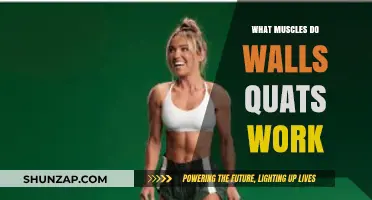 Wall Sit Quads Workout: Targeted Muscles and Benefits Explained