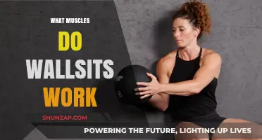 Wall Sits: Target Muscles and Benefits for Lower Body Strength