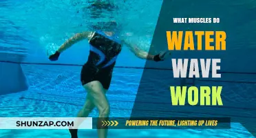 Water Wave Workout: Targeted Muscles and Fitness Benefits Explained