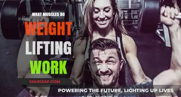 Weightlifting Workout Benefits: Targeted Muscles for Strength and Tone