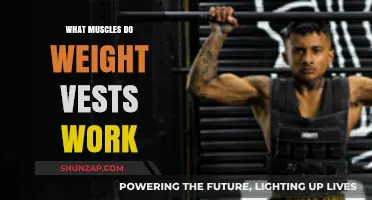 Weight Vests: Targeted Muscles and Strength-Building Benefits Explained