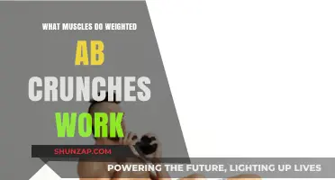Weighted Ab Crunches: Targeted Muscles for Core Strength and Definition