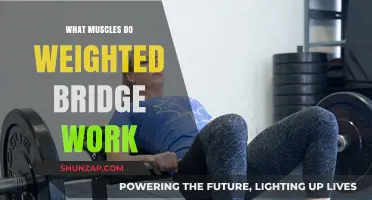 Weighted Bridge Workout: Targeted Muscles and Strength Benefits Explained