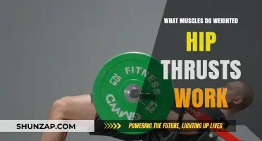 Weighted Hip Thrusts: Targeted Muscles and Strength Benefits Explained