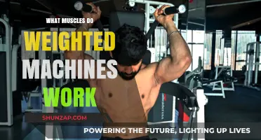 Weighted Machines: Targeted Muscles and Effective Strength Training Explained