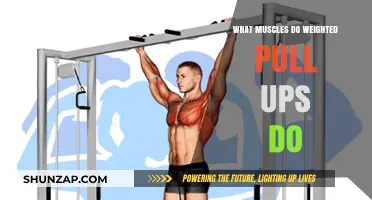 Weighted Pull-Ups: Target Muscles and Strength-Building Benefits Explained