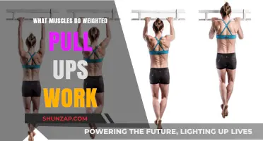 Weighted Pull-Ups: Target Muscles and Strength-Building Benefits Explained