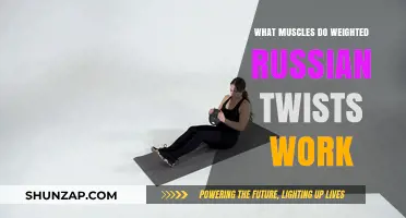 Weighted Russian Twists: Targeted Muscles for Core Strength and Stability