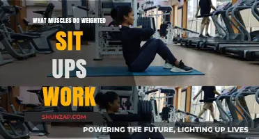 Weighted Sit-Ups: Targeted Muscles and Core Strengthening Benefits Explained