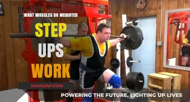 Weighted Step Ups: Targeted Muscles and Benefits for Lower Body Strength