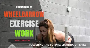 Wheelbarrow Exercise: Target Muscles and Full-Body Benefits Explained
