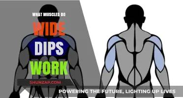 Wide Dips: Targeted Muscles and Benefits for Upper Body Strength