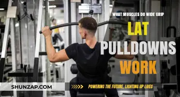 Wide Grip Lat Pulldowns: Target Muscles and Workout Benefits Explained