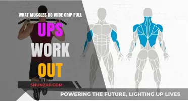 Wide Grip Pull-Ups: Targeted Muscles and Strength Benefits Explained