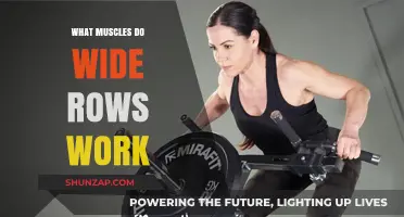 Wide Rows: Target Muscles and Benefits for Strength Training