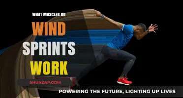 Wind Sprints: Unlocking the Power of Key Muscle Groups
