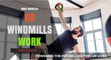 Windmills Workout: Targeted Muscles and Fitness Benefits Explained