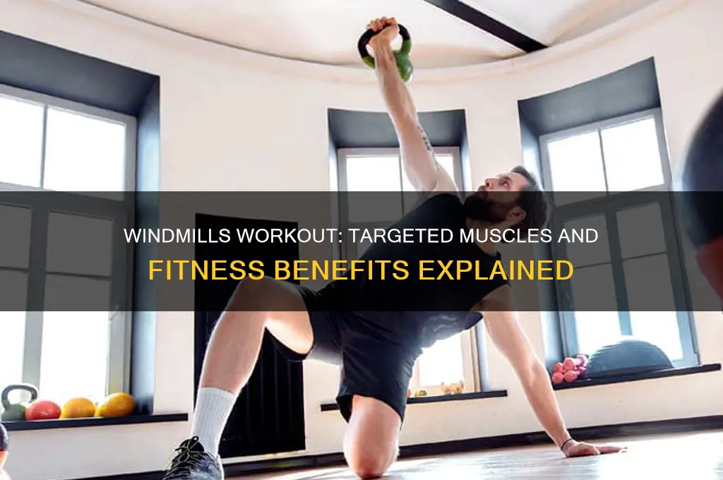 what muscles do windmills work