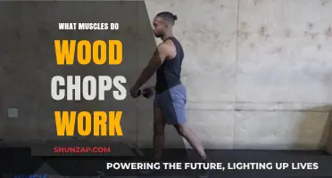 Wood Chops: Unlocking Core, Back, and Shoulder Muscle Engagement