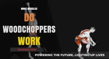 Woodchoppers Workout: Targeting Core, Back, and Shoulder Muscles Effectively