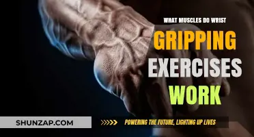 Wrist Gripping Exercises: Targeted Muscles for Strength and Stability