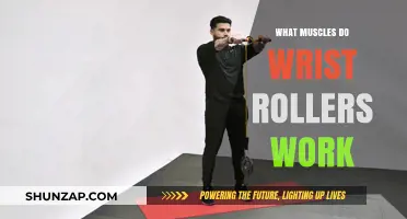 Wrist Rollers: Targeted Muscles and Strength Benefits Explained