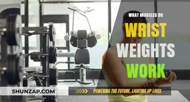 Wrist Weights Workout: Targeted Muscles and Strengthening Benefits Explained
