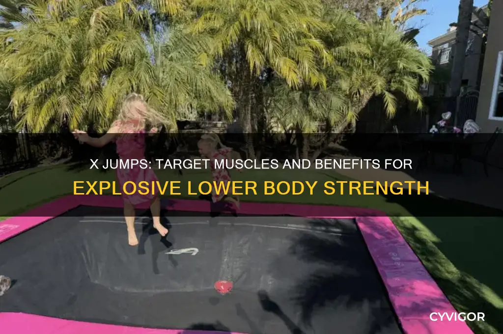 what muscles do x jumps work