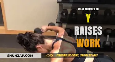 Y Raises: Targeted Muscles and Benefits for Upper Body Strength