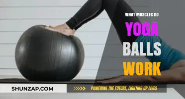 Yoga Balls: Unlocking Core, Stability, and Full-Body Muscle Engagement