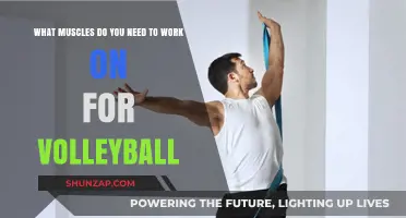Essential Muscles to Strengthen for Peak Volleyball Performance