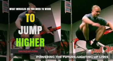 Unlock Explosive Leaps: Key Muscles to Train for Higher Jumps