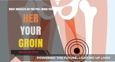 Understanding Groin Strain: Which Muscles Are Affected and How to Heal