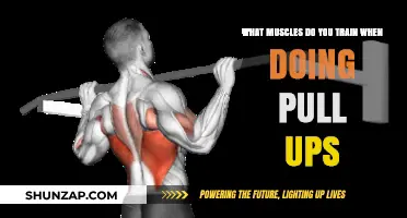Pull-Ups: Target Muscles and Benefits for Upper Body Strength